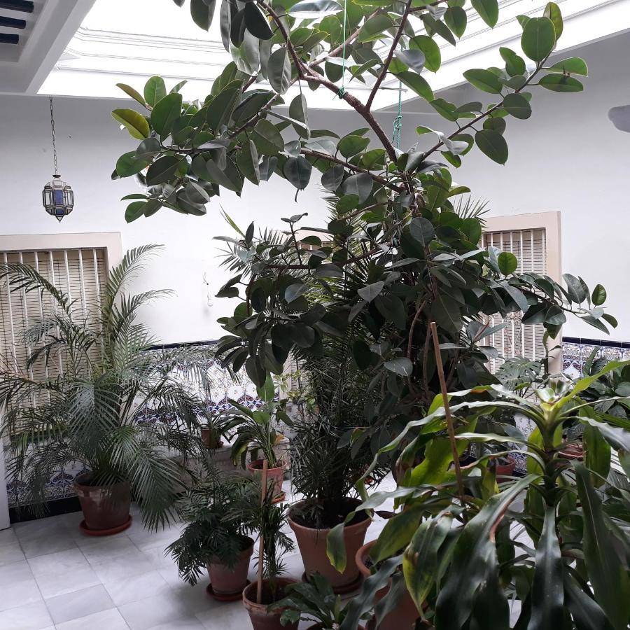 Atico Soleado Apartment Cadiz Ngoại thất bức ảnh