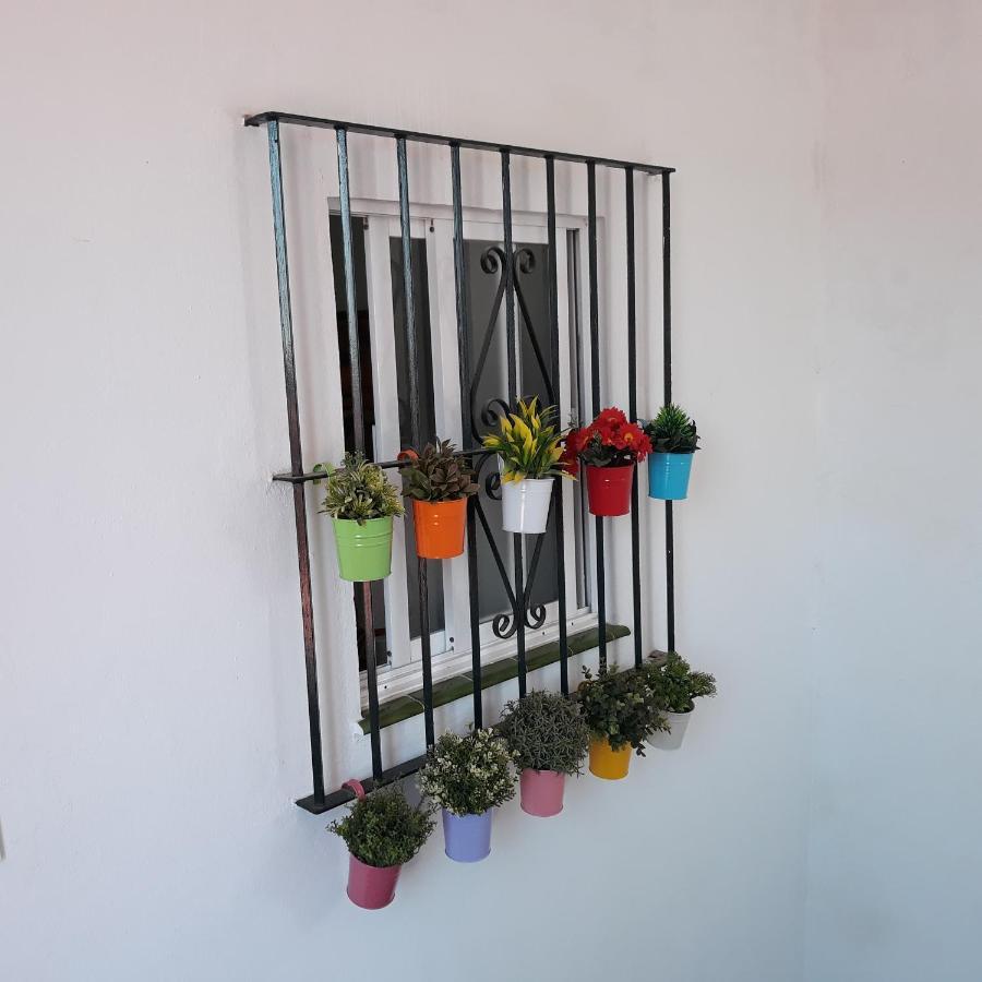 Atico Soleado Apartment Cadiz Ngoại thất bức ảnh