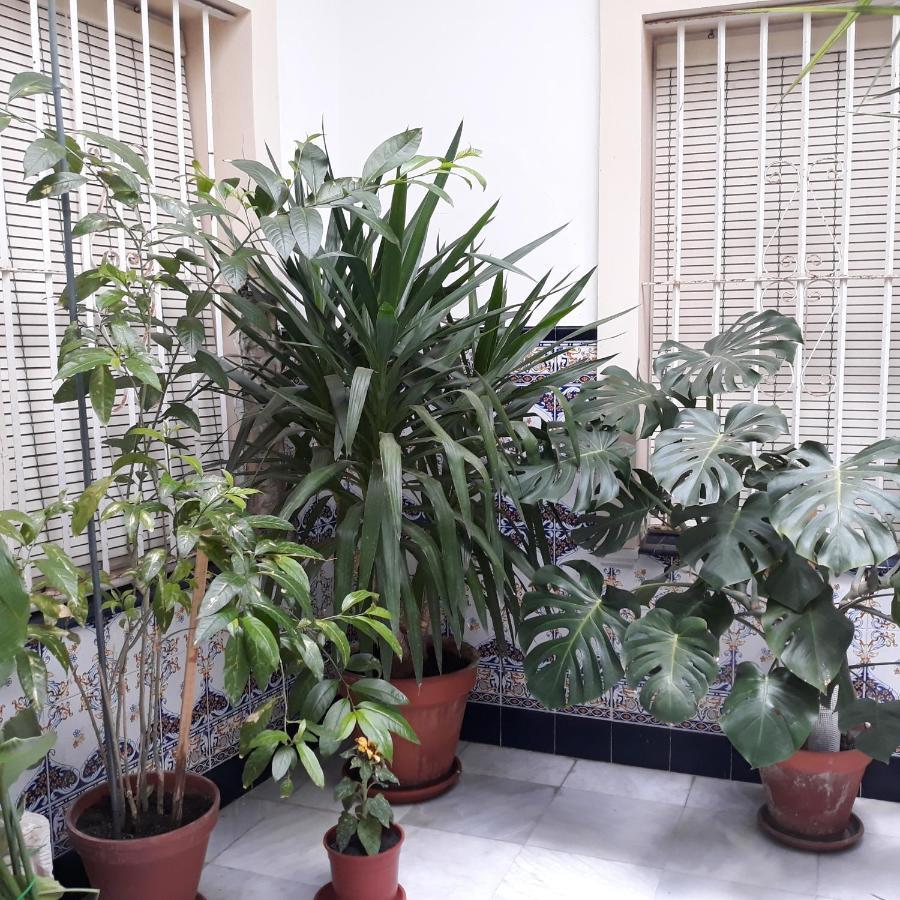 Atico Soleado Apartment Cadiz Ngoại thất bức ảnh